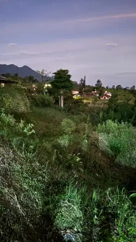 Tanah kosong untuk dibangun Villa