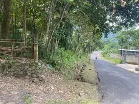 Jual tanah dan isinya dijual 500 ribu permeter