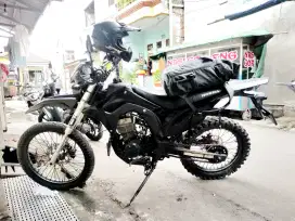 Crf custom  basic mp mono