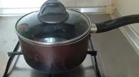 Tefal Authentic Pan Induction 19cm Dengan Tutup