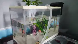 Jual Aquarium beserta isinya