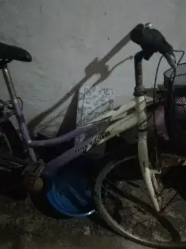 Sepeda Polygon second