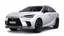 Di Cari Tukang Cuci Mobil Salon Mobil