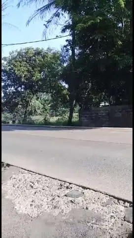 Tanah Jalan Raya kadusirung cisauk BSD - Tangerang