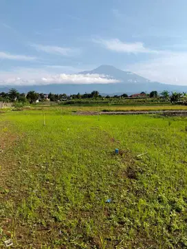 Tanah Utara Purwokerto View Eksotis Terlaris Banyak Bonus