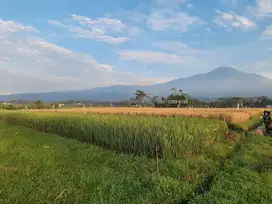 Tanah Terlaris Purwokerto View Eksotis