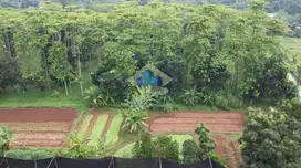 Jual Tanah Di Desa Mekar Wangi, Cisauk - Tangerang