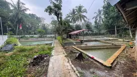 Jual Tanah  1 Hektar di Sukaratu Majasari Pandeglang Banten