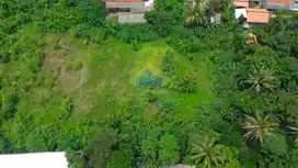 Jual Tanah Industri di Jl. Cisauk - JahaPagedangan - Tangerang