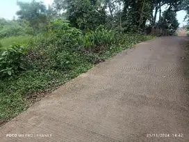 tanah di tanenko gelam kota serang banten