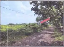 Tanah Luas Dan Murah Strategis Desa Martopuro, Purwosari Pasuruan