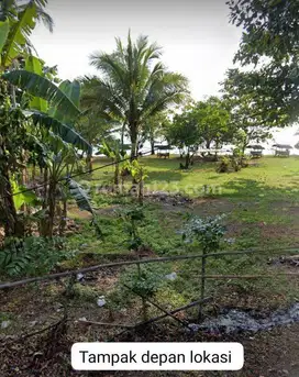 Tanah di Jual Nego Keras di Jln Raya Pantai Carita Pandeglang