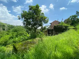 Tanah dan rumah di jalan provinsi limbangan Garut,jawa barat.
