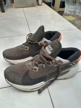 Nike track pegasus