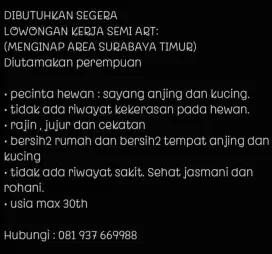 Lowongan kerja semi ART