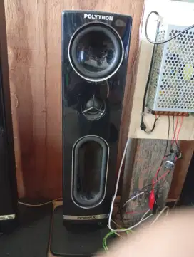 Speaker Polytron pasif
