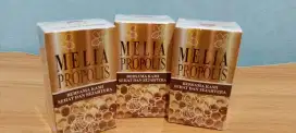 MELIA PROPOLIS 30 ML BARU TERJAMIN ASLI KRN LANGSUNG DR MEMBER RESMI