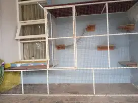 Kandang kucing bongkar pasang  plus plus
