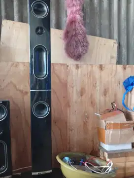 Speaker tower polytron