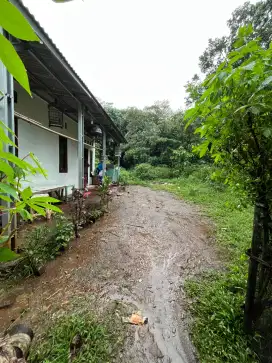 Jual tanah murah Cikeas (257 m²)