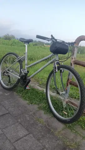 Sepeda federal lady 26 inch