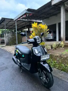 Fazzio 2024 low km