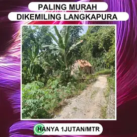 Tanah Langkapura dekat kampus dan sekolah dasar