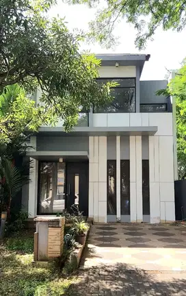 Cluster Foglio Foresta BSD City