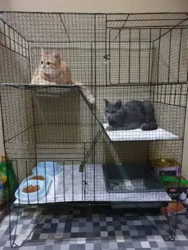 Kandang kucing baru FREE ONGKIR(READY)