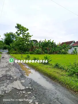 TANAH KAVLING UKURAN JUMBO DEKAT PONDOK WALISONGO NGABAR