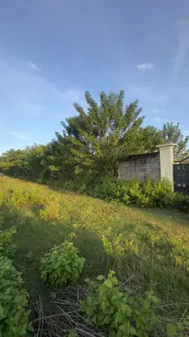 Dijual cepat tanah 800m2 di Jl. Taman Sakura Jimbaran Bali