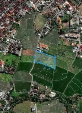 Murah Tanah View Sawah di Jl. Pantai Berawa Canggu Bali