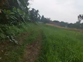 Dijual tanah situgadung pagedangan Serpong Gading serpong