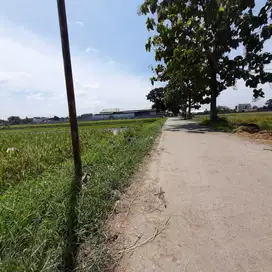 dijual pekarangan di pedan , klaten