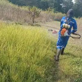 Jasa potong rumput taman dan rumput liar