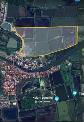 DIJUAL TANAH TAMBAK SHM DI JL. GAJAH PUTIH - TAMBAK OSO SIDOARJO