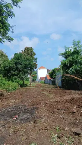 Cocok di bangun kos kosan