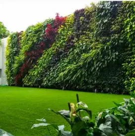 Jasa pembuatan taman pertikal taman kering dll #5