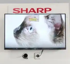 SHARP 2K GOOGLE TV Bunga 0%