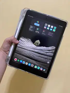 iPad Air 2 Second + Stylus & Case!