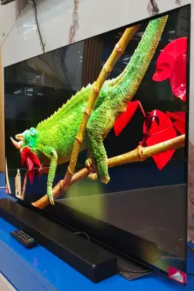 LG OLED 55 INC CXPTA HDR 4K