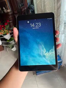 ipad mini 2 16gb wifi