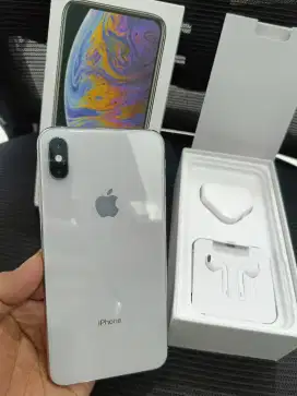 iPhone xs max 256 inter 2sim on ori mulus fullset