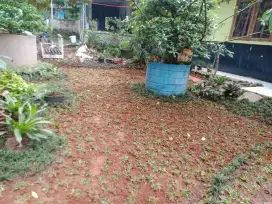 Jasa Pembuatan Taman Rumah atau kantor