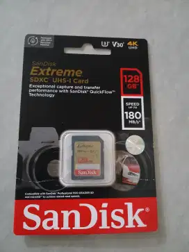 Memori Card kamera Sand Disk