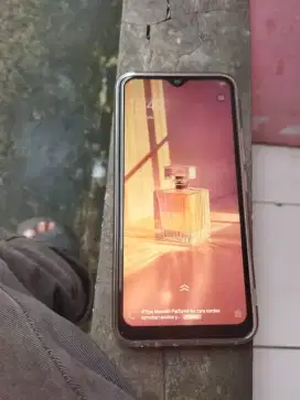 Vivo y 12 segel