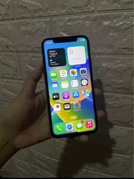 iPhone X 64 GB inter
