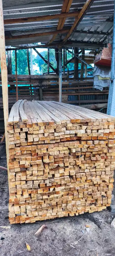 Dijual kayu Pagesting