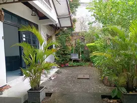 Jual Rumah 1.5 Lantai Kalikepiting Tambaksari Surabaya Dekat Kampus