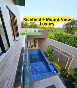 Rumah View Sawah Pegunungan Kaliurang Jogja